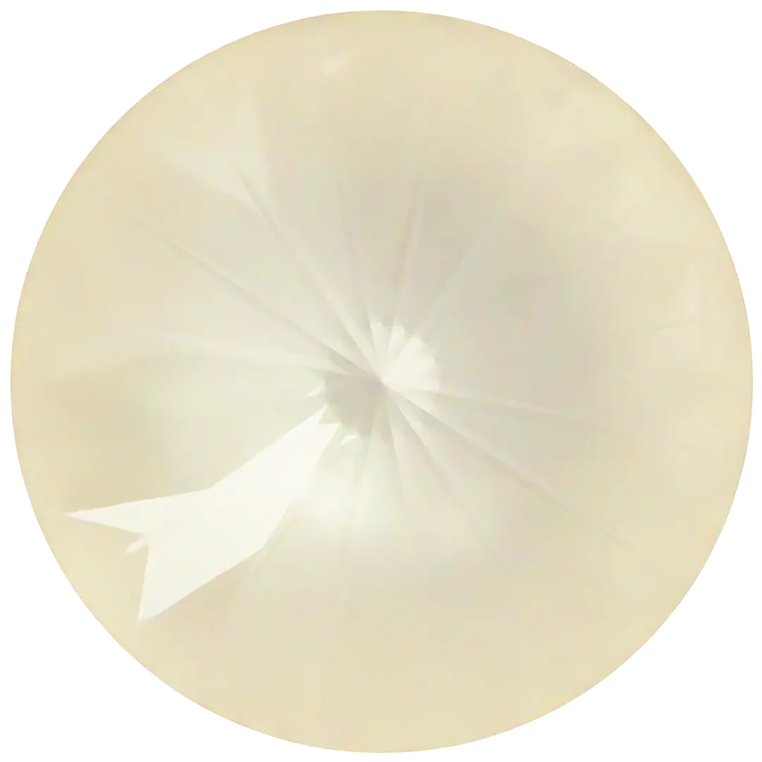 Serinity Chatons Round Stones Rivoli (1122) Crystal Linen Ignite UNFOILED - Bluestreak Crystals