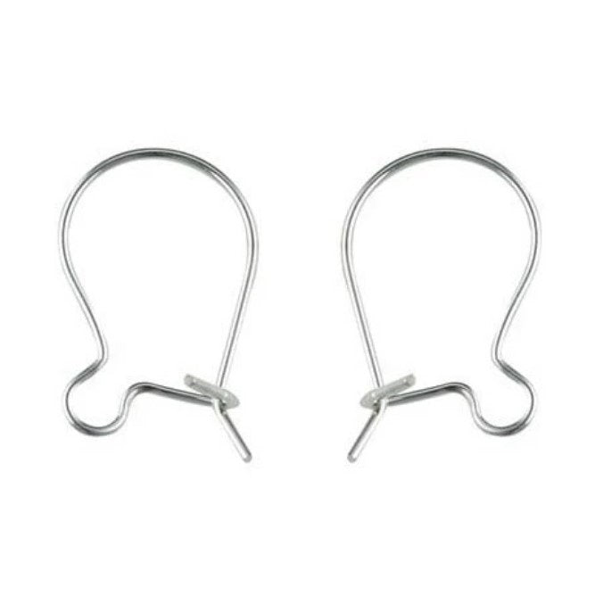 Silver Plated Kidney Wire Ear Wires - Bluestreak Crystals