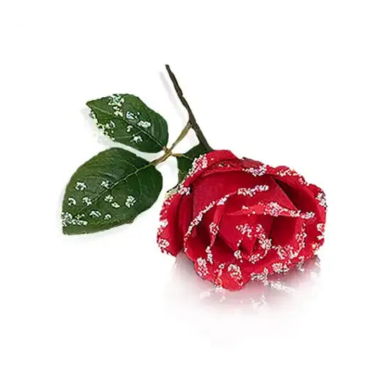 Preciosa Crystals Faerie Forever Rose Embellishment Project