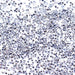 Estella Enchanted Metallic Silver - Bluestreak Crystals