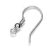 Silver Plated Fish Hook Ear Wires - Bluestreak Crystals