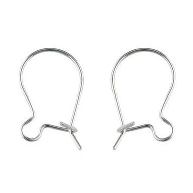 Silver Plated Kidney Wire Ear Wires - Bluestreak Crystals