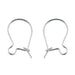 Silver Plated Kidney Wire Ear Wires - Bluestreak Crystals