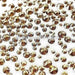 Swarovski Flat Back Crystals Non Hotfix (2000, 2058 & 2088) Crystal Golden Shadow - Bluestreak Crystals
