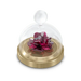 Swarovski Garden Tales Rose Bell Jar - Bluestreak Crystals
