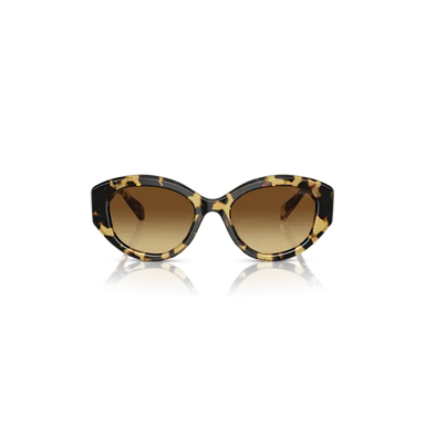 Swarovski Sunglasses Cat-Eye Shape SK6008 Brown - Bluestreak Crystals