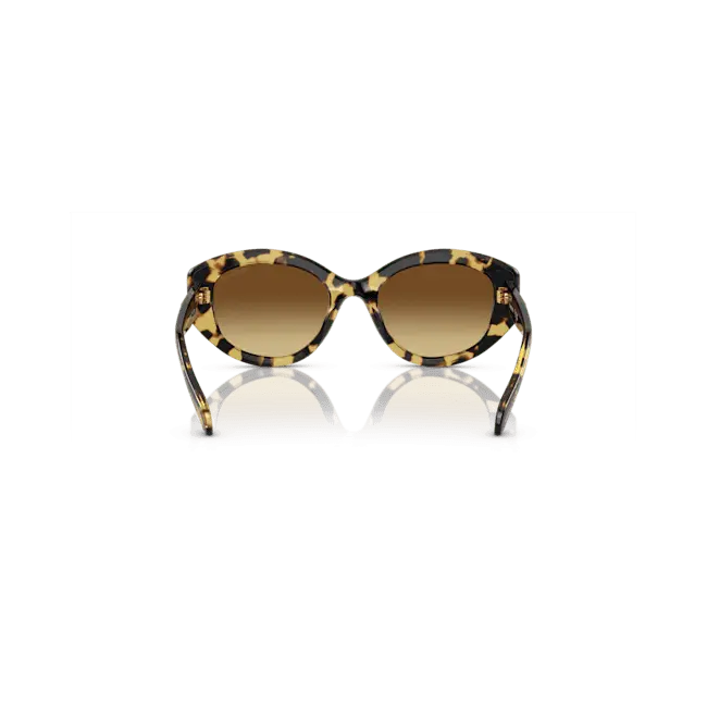 Swarovski Sunglasses Cat-Eye Shape SK6008 Brown - Bluestreak Crystals