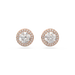Swarovski Una Angelic Stud Earrings Round Cut Pave White Rose Gold-Tone Plated - Bluestreak Crystals